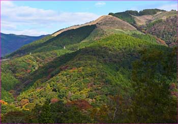 大野山