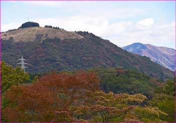 大野山