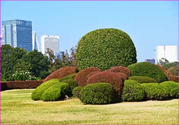 風景庭園