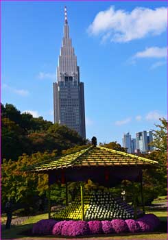 菊の東屋