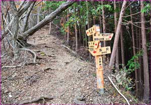 立野峠