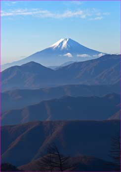 雲取山から富士山