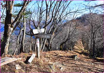 鴨沢分岐