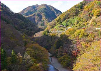 お祭秋の景