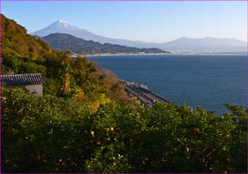 富士山展望