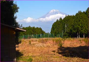 富士山見ゆ