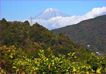 富士山