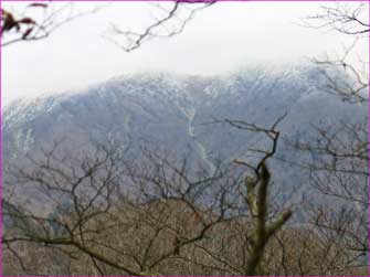 山に霧氷が