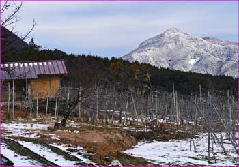 冠着山見ゆ