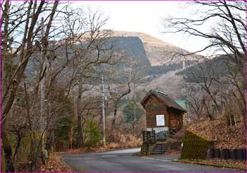 野背開戸から大野山