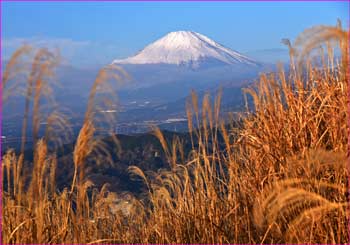 富士山