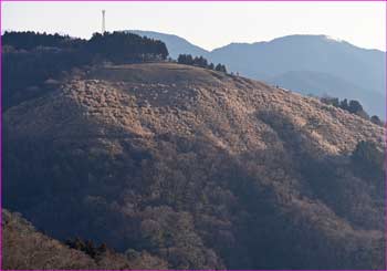 薫る野牧場