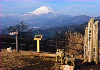 大野山山頂