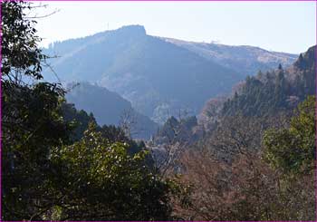 大野山