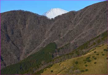 富士山のぞく