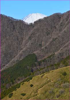 富士山のぞく