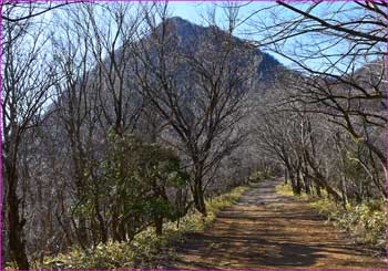 金時山