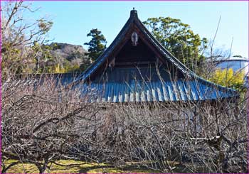 瑞雲寺