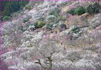 梅公園