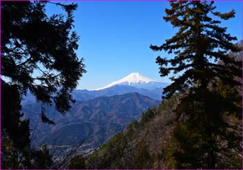 扇山から富士