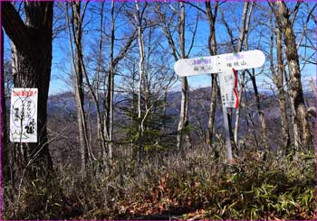 権現山の尾根