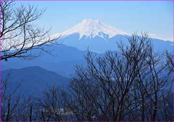 権現山の富士