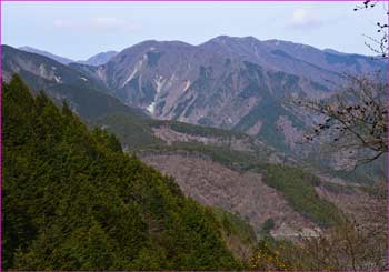 鍋割山方面