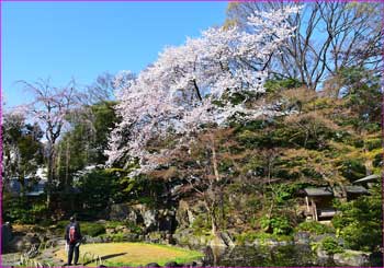 神池公園