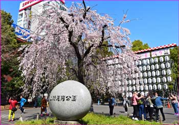 上野恩賜公園花まつり