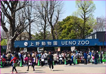 上野動物園