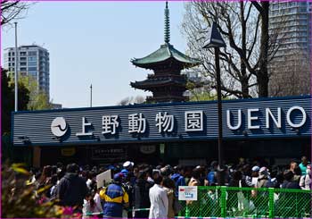 上野動物園