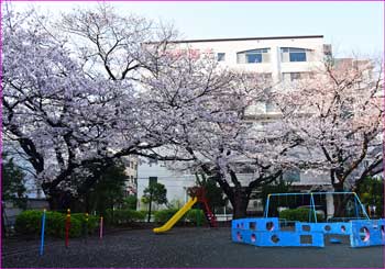 北奥田公園