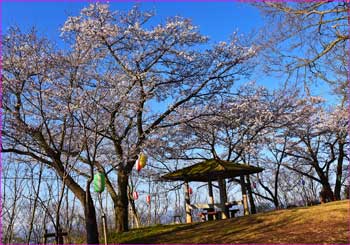 浅間山公園