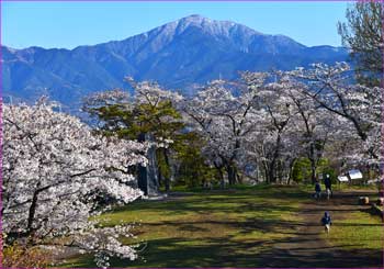 春の展望