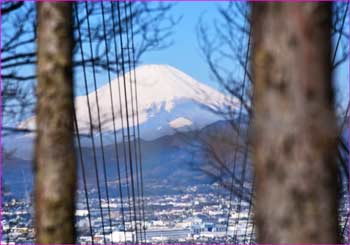 富士山