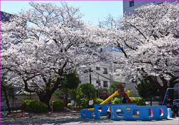 北奥田公園