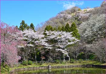 最明寺公園