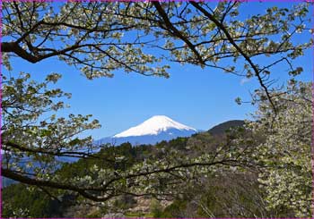 富士山