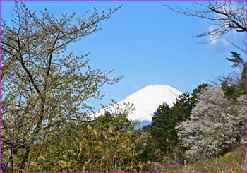 富士山