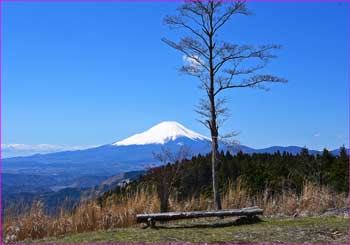 高松山頂