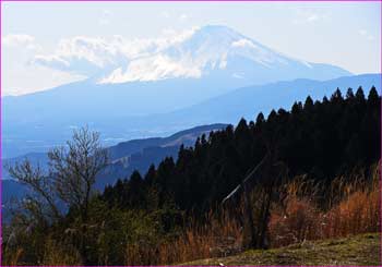 富士山