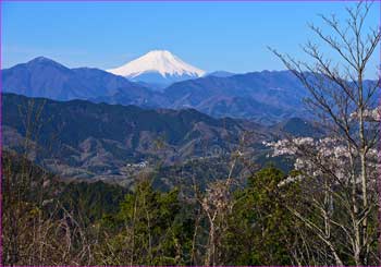 高尾山から富士山