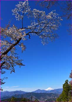 富士山