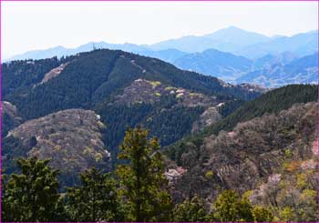 城山方面