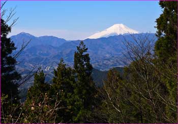 景信山の富士