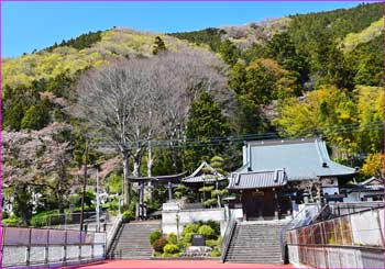 与瀬神社見返す