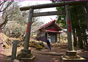 阿夫利神社本社鳥居