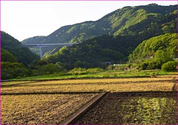 谷峨の田んぼ