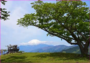 山頂富士