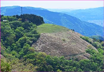 薫る野牧場